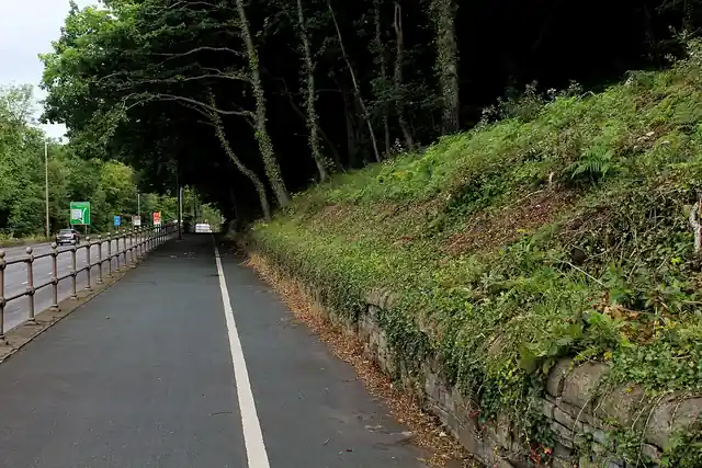 A cycle path passing through a green landscape.