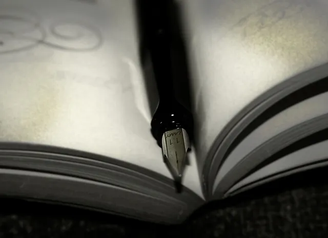 A pen used for calligraphy.