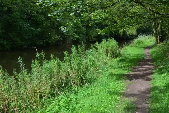 A walking path beside a canal.