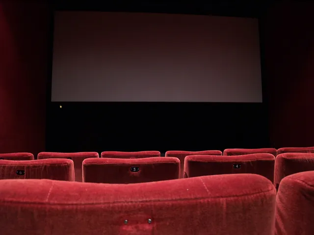 Rows of seats inside a cinema.