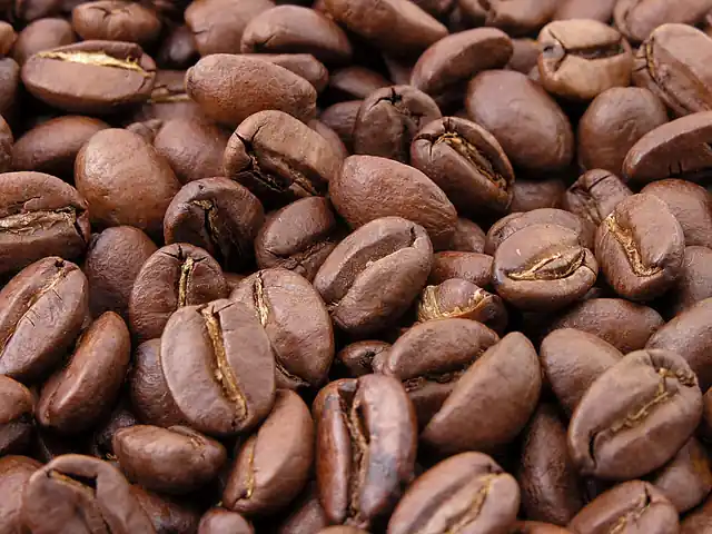 Roasted coffee beans in close-up.