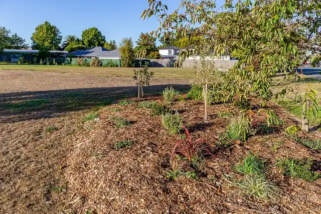 Vegetable beds in a community garden.