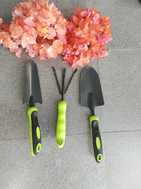 Small gardening hand tools arranged beside cut flowers.