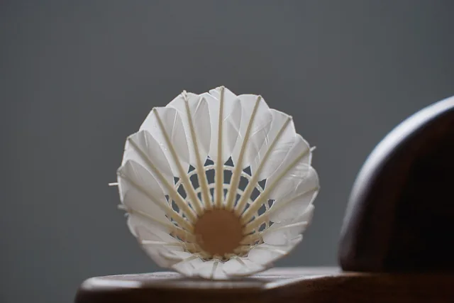 A feather shuttlecock resting on a wooden surface.
