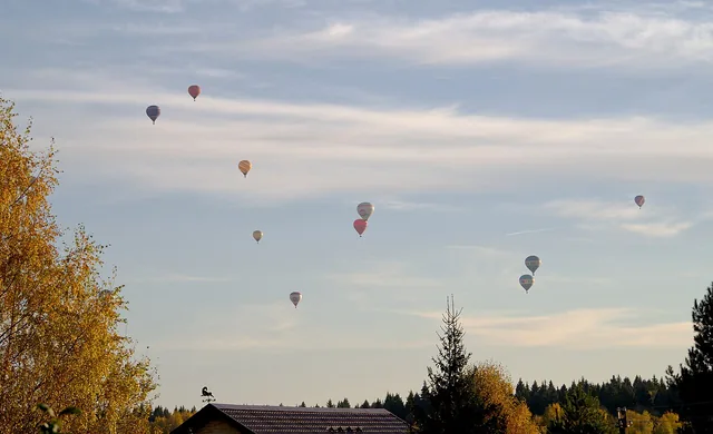 Hot-air balloons floating above treetops and rooftops.