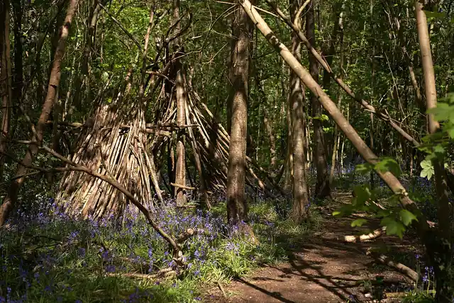 A small shelter made from branches among trees and spring flowers.
