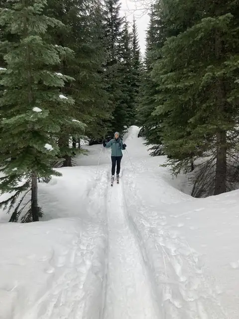 A cross-country skier following a snowy trail between evergreen trees.