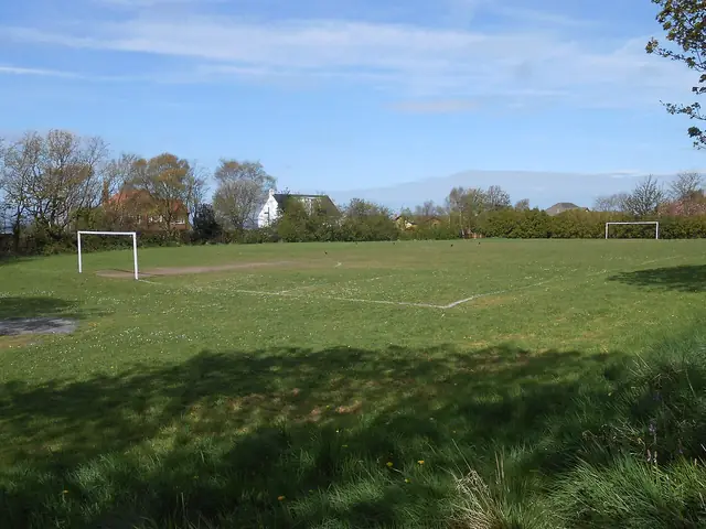 An empty grass football pitch with two goals.