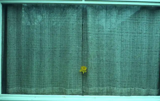 Green curtains drawn across a window, with a small yellow flower attached.