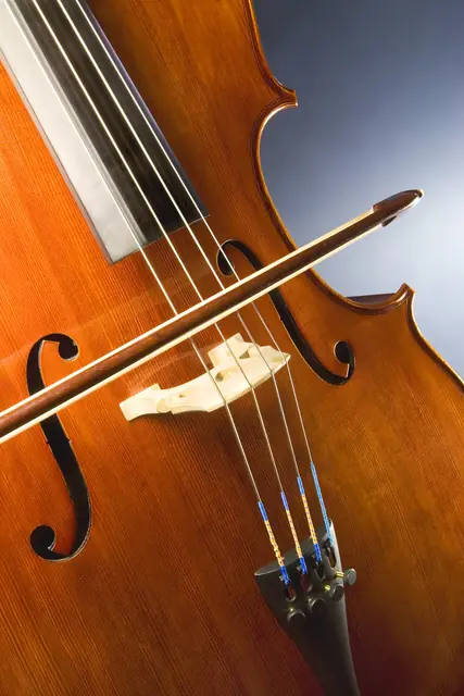A cello with its bow.