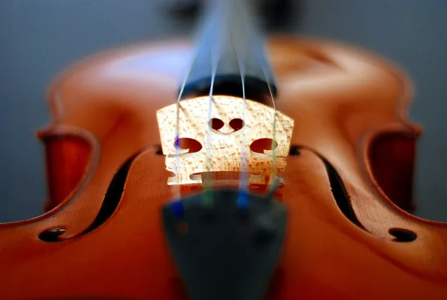 The bridge and strings of a violin.