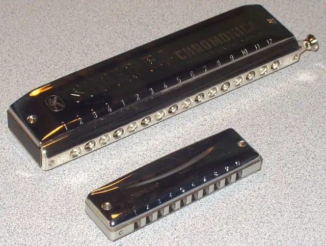 A chromatic harmonica and a smaller diatonic harmonica lying side by side.