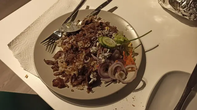 Shaved kebab meat with sliced onions and salad.