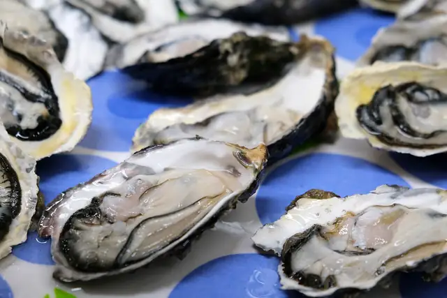 Opened oysters resting on their half shells.