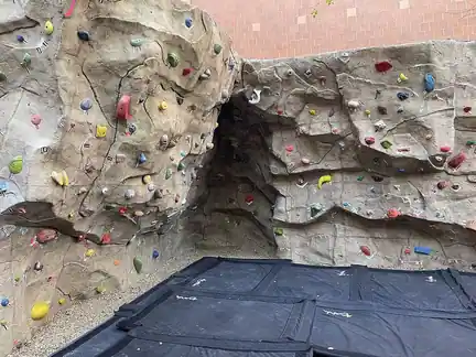 Holds on an indoor bouldering wall.