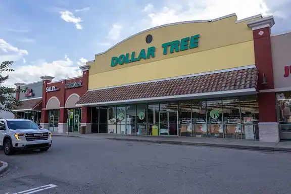 The entrance to a Dollar Tree store.