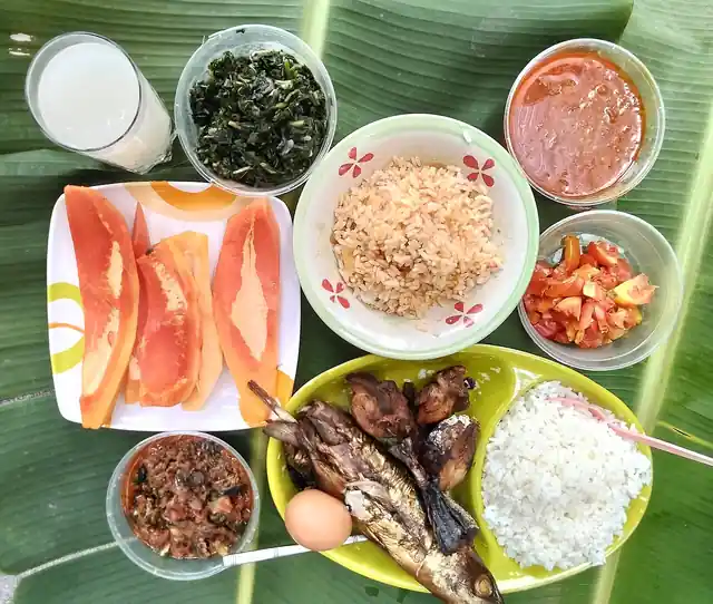 Food arranged for an outdoor picnic.