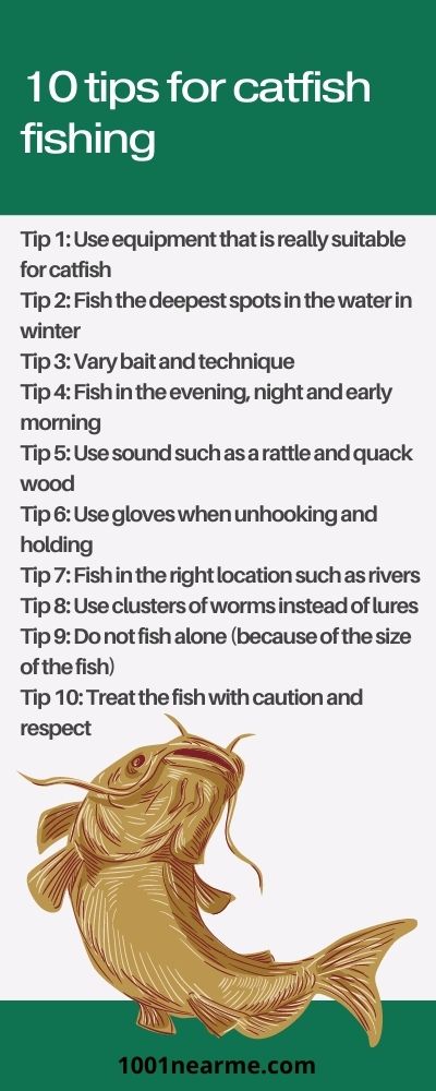 10 tips for catfish fishing