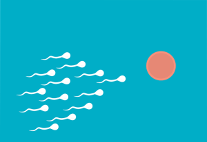 Fertility research