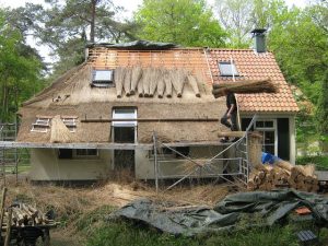 Thatched roof