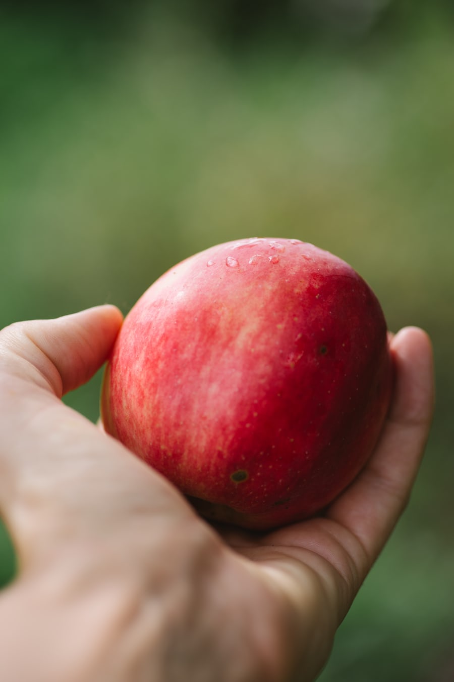 Donate food best places and deals with online map 